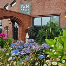 제주가족펜션꿀하우스 이미지