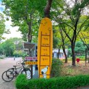 옥구공원숲속도서관 | 🌳시흥 옥구공원 나들이 후기｜아이와 함께하는 숲속 체험 &amp; 놀이터