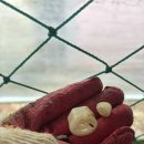 횃대둥우리 이미지