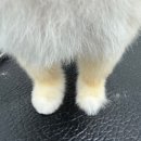 모카애견 이미지