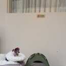 효리네일 이미지