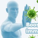 이음 태권도장 이미지