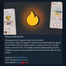 메가코인 이미지