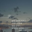 한솔엠디 이미지