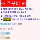 홍단피싱