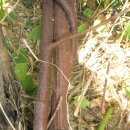 상기농장 이미지