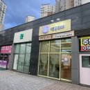 댕구르미 네이버블로그