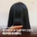 유진상가 | [대치동] 에코자뎅 대치테라스점｜유진디자이너님한테 클리닉 받고 온 후기