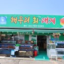 울진 죽변항 맛집 신선한 대게, 회 해무리회대게 추천해요