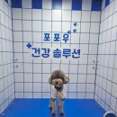 2025 메가주(상) 3일 방문 후기 - 오픈런/현장이벤트/부스사진/네이버펫/메가쇼/떼샷