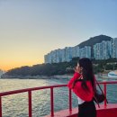당신의 쉼을 응원합니다 | 부산 영도 ‘별유풍경’에서의 한달살기 후기 🏡🌊