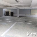 돌다리환경 이미지
