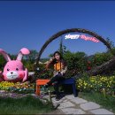 순천만놀러와5 이미지