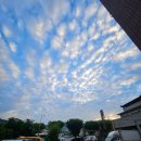 예일스테이 이미지