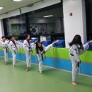 용인대푸른태권도 이미지