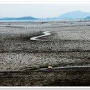 순천만풍경 이미지