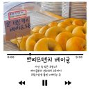 염치읍 은행나무길 | 아산 염치읍빵집 은행나무길 프랑스감성 쁘띠프렌치카페 본점
