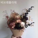 비브레이니