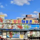 낙지해물촌 네이버블로그
