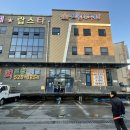 대전방어 맛집 추천 회센터 보물섬수산 회포장 후기