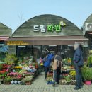 강동꽃화원 이미지