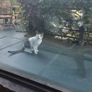 여수 갈릴리 독채펜션 | (바다위의 통나무펜션)모든 방이 파노라마 오션뷰, 마당까지 단독사용 가능한 여수독채펜션 후기