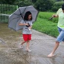 개울옆길 이미지