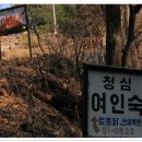 청심여인숙 이미지