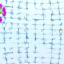 디지털월드 이미지