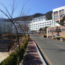영산대학교(양산) 이미지