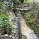 안동묵집 | [황토방묵집] 안동 묵집, 안동 손두부, 묵밥, 안동 맛집