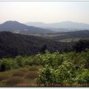 장성수산 이미지