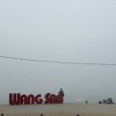 왕산숯불 | 왕산해수욕장 / 자니노니 카라반 후기