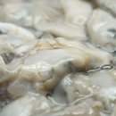 울엄마식당 티스토리