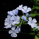 브이랜드 이미지