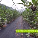 만인농장 이미지