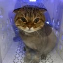 함께냥 본점 이미지