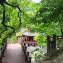 함양도서관 | 대중교통을 이용한 도보여행 100선 제52탄 함양 선비문화 탐방로 트레킹