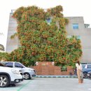 대봉1동 행정복지센터 이미지