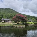 진도 운림산방 네이버블로그