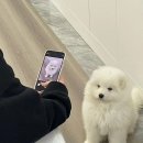 황가네분식 이미지