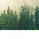 서래로4길 5 (1) 이미지