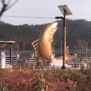 블루시티민박 이미지