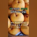 배의 황산화 성분 3700배 강화해먹는 방법 이미지