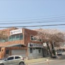 대패동네