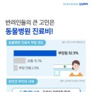 위풍댕댕 이미지