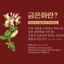 금은화식품