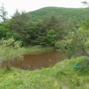 자뭇골공원 | 두위지맥 제1구간 만항재에서 수라리재까지 산행후기