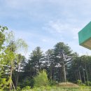 반딧불목장 이미지