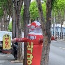 삐삐대포 이미지